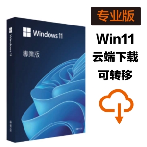 Windows 11 专业中文完整版 - 网路序号授权